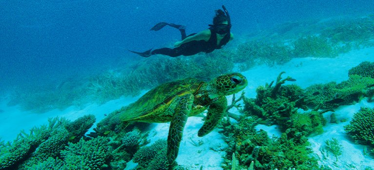 Hlbinné potápanie v Austrálii – prírodopisná séria